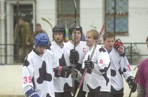 South Park Cows - Butchers